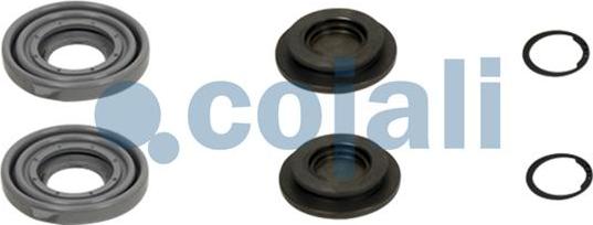 Cojali 6086011 - Repair Kit, brake caliper car-mod.net