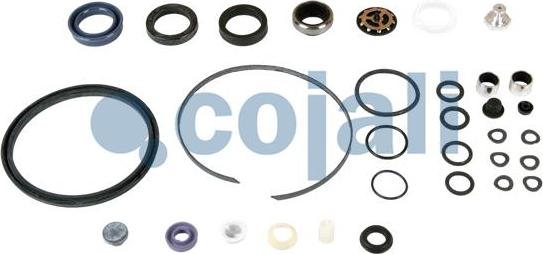 Cojali 6034029 - Repair Kit, clutch booster car-mod.net