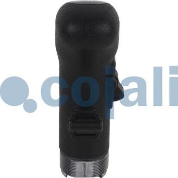 Cojali 2880141 - Gear Lever Knob car-mod.net