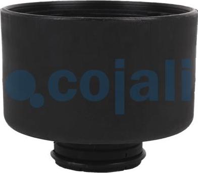 Cojali 2310001 - Silencer, compressed-air system car-mod.net