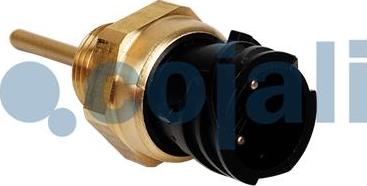 Cojali 2260982 - Coolant temperature Sensor car-mod.net