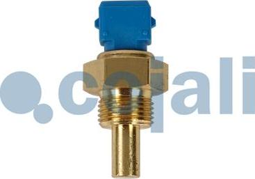 Cojali 2260932 - Coolant temperature Sensor car-mod.net