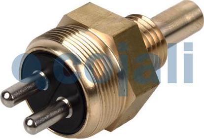 Cojali 2260402 - Coolant temperature Sensor car-mod.net