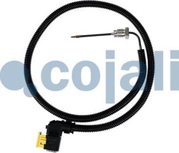 Cojali 2260883 - Sensor of exhaust gas Temperature car-mod.net