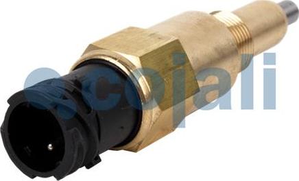 Cojali 2260382 - Splitter gearbox Switch car-mod.net
