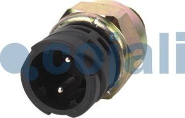 Cojali 2260336 - Differential lock Switch, contact sensor car-mod.net