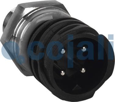 Cojali 2260262 - Sender Unit, oil pressure car-mod.net