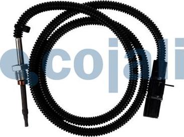 Cojali 2262653 - Sensor of exhaust gas Temperature car-mod.net
