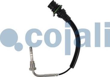 Cojali 2262002 - Sensor of exhaust gas Temperature car-mod.net