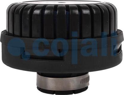 Cojali 2203103 - Silencer, compressed-air system car-mod.net
