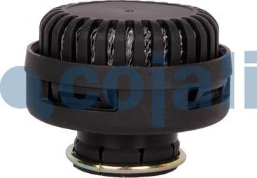 Cojali 2203102 - Silencer, compressed-air system car-mod.net