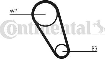 CONTINENTAL CT1195WP1 - Water Pump & Timing Belt Set car-mod.net