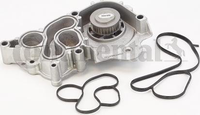 CONTINENTAL WP6094 - Water Pump car-mod.net