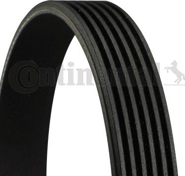 CONTINENTAL 6PK1200 ELAST T1 - V-Ribbed Belt Set car-mod.net