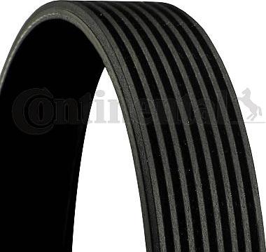 CONTINENTAL 8PK1510 - V-Ribbed Belt car-mod.net