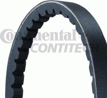 CONTINENTAL AVX13X825 - Drive belt, V-Belt car-mod.net