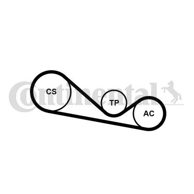 CONTINENTAL 4PK1237K1 - V-Ribbed Belt Set car-mod.net