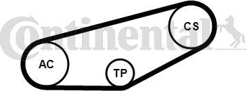 CONTINENTAL 4PK855K1 - V-Ribbed Belt Set car-mod.net