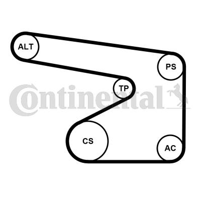 CONTINENTAL 5PK1355WP1 - Water Pump + V-Ribbed Belt Set car-mod.net
