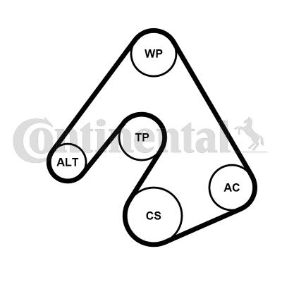 CONTINENTAL 5PK1207WP1 - Water Pump + V-Ribbed Belt Set car-mod.net
