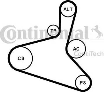 CONTINENTAL 6 DPK 1195 K1 - V-Ribbed Belt Set car-mod.net