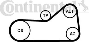 CONTINENTAL 6PK976WP1 - Water Pump + V-Ribbed Belt Set car-mod.net