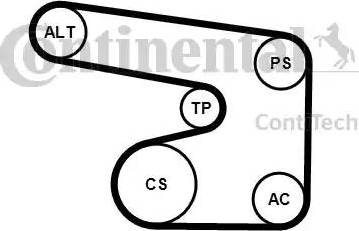 CONTINENTAL 6PK1900K1 - V-Ribbed Belt Set car-mod.net