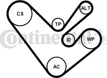 CONTINENTAL 6PK1555K4 - V-Ribbed Belt Set car-mod.net