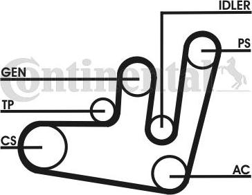 CONTINENTAL 6PK1660D1 - V-Ribbed Belt Set car-mod.net