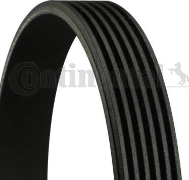 CONTINENTAL 6PK2270 - V-Ribbed Belt car-mod.net