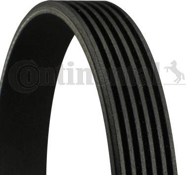 CONTINENTAL 6PK868 ELAST - V-Ribbed Belt car-mod.net