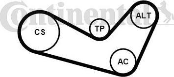CONTINENTAL 6 PK 1080 K1 - V-Ribbed Belt Set car-mod.net