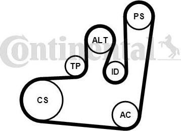CONTINENTAL 6PK1145WP1 - Water Pump + V-Ribbed Belt Set car-mod.net