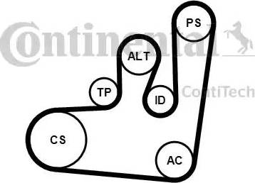 CONTINENTAL 6PK1145K1 - V-Ribbed Belt Set car-mod.net