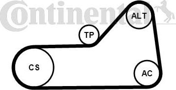 CONTINENTAL 6PK1153WP1 - Water Pump + V-Ribbed Belt Set car-mod.net