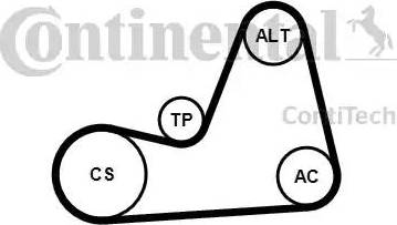 CONTINENTAL 6PK1100K1 - V-Ribbed Belt Set car-mod.net