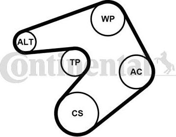 CONTINENTAL 6PK1205K1 - V-Ribbed Belt Set car-mod.net