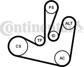 CONTINENTAL 6PK1750K2 - V-Ribbed Belt Set car-mod.net