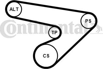 CONTINENTAL 6PK1725K1 - V-Ribbed Belt Set car-mod.net