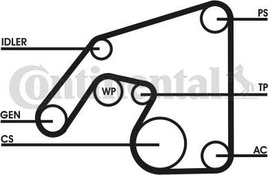 CONTINENTAL 6PK2380D1 - V-Ribbed Belt Set car-mod.net