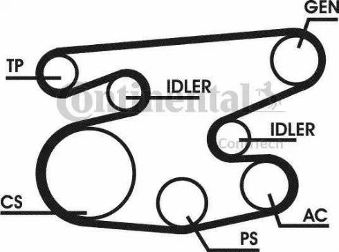 CONTINENTAL 6PK2215D1 - V-Ribbed Belt Set car-mod.net