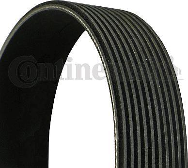 CONTINENTAL 10PK1162 - V-Ribbed Belt car-mod.net