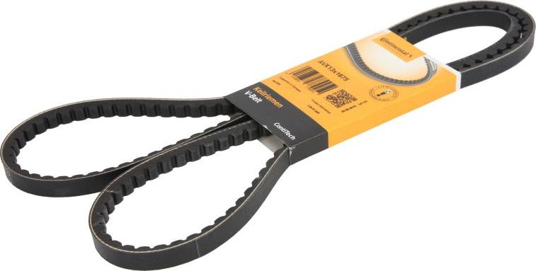 CONTINENTAL 13X1675 - Drive belt, V-Belt car-mod.net