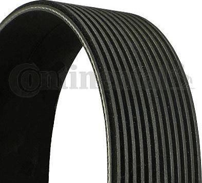 CONTINENTAL 12PK1900 EXTRA - V-Ribbed Belt car-mod.net