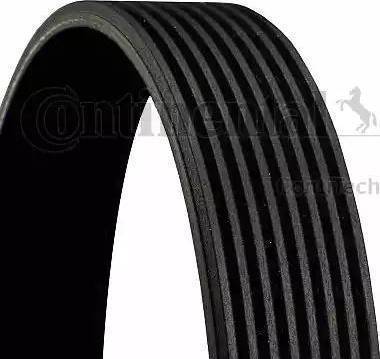 CONTINENTAL 8PK2155 - V-Ribbed Belt car-mod.net