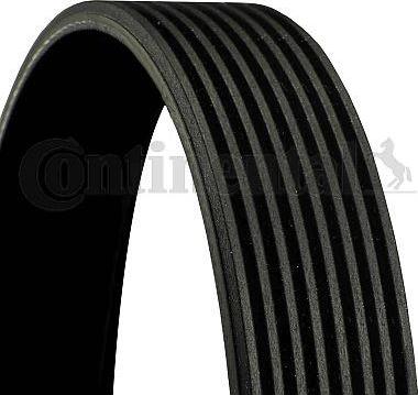 CONTINENTAL 8PK2060 - V-Ribbed Belt car-mod.net