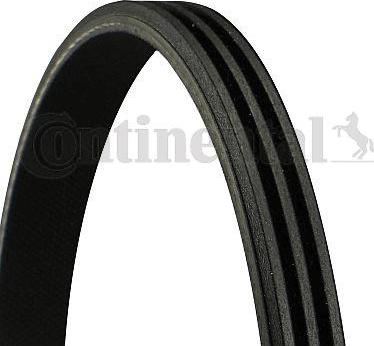 CONTINENTAL 3PK800 - V-Ribbed Belt car-mod.net