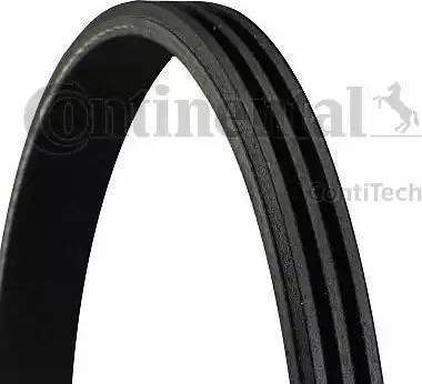 CONTINENTAL 3PK800 - V-Ribbed Belt car-mod.net