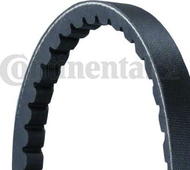 CONTINENTAL AVX13X825 - Drive belt, V-Belt car-mod.net
