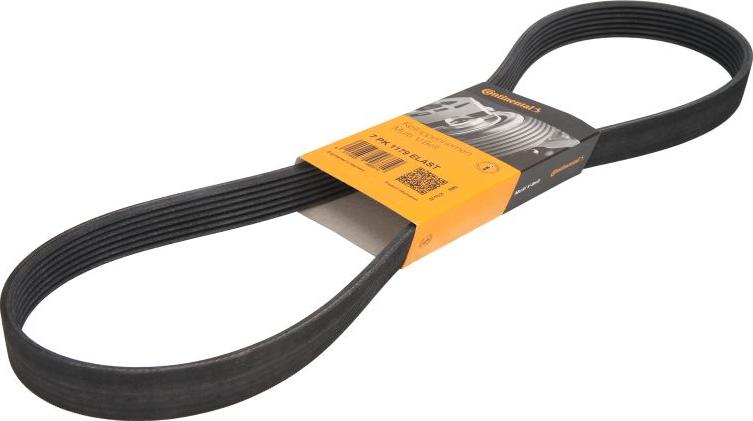 CONTINENTAL 7 PK 1179 ELAST - V-Ribbed Belt car-mod.net